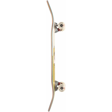 Skateboard Complètes Globe G1 Comfort Zone 2021  - Skateboards Complètes