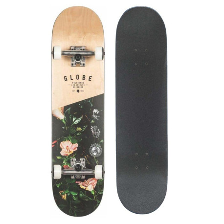 Skateboard Globe G1 Insignia 7.75'' - Maple/Thornbush- Complete 2021