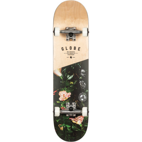 Skateboard Globe G1 Insignia 7.75'' - Maple/Thornbush- Complete 2021