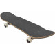 Skateboard Globe G1 Insignia 7.75'' - Maple/Thornbush- Complete 2021