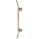 Skateboard Globe G2 Tarka 8.0'' - Park - Complete 2021