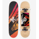 Skateboard Globe Good Mt Warning Mid 7.6'' - H2O - Complete 2021