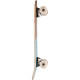 Complete Cruiser Skateboard Globe Blazer 26'' Coconut/Sky 2022  - Cruiserboards in Wood Complete