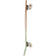 Complete Cruiser Skateboard Globe Blazer Xl 36\\" Coconut/Lime 2022  - Cruiserboards in Wood Complete