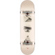 Skateboard Completes Globe G1 Stack 2022  - Skateboards Completes