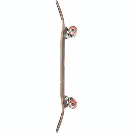 Skateboard Globe G2 On the Brink 8.25'' - Dumpster Fire - Complete 2022