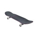 Skateboard Completes Globe G1 Orbit 2023  - Skateboards Completes