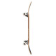 Skateboard Completes Globe Good Stock 8.5'' 2024  - Skateboards Completes