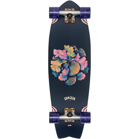 Skateboard Complètes Globe Sun City 9'' 2024  - Skateboards Complètes
