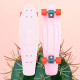 Penny Skateboard Cactus Wanderlust 27" - Complete 2020