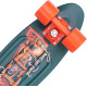 Penny Skateboard Postcard - Highland 22'' - Complete 2020