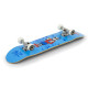 Skateboard Complètes Enuff Skully Mini 7.25" 2023