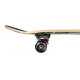 Skateboard Complètes Rocket Skateboard Combat Skull Series 7.75" 2023