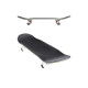 Skateboard Completes Globe G1 Varsity 2021  - Skateboards Completes