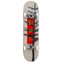 Skateboard Complètes Enuff Evergreen Tree 8.00" 2023