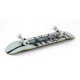 Skateboard Complètes Enuff Evergreen Tree 8.00" 2023