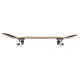 Skateboard Birdhouse Stage 1 Crest 8'' - Complete 2022