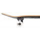 Skateboard Birdhouse Stage 1 Crest 8'' - Complete 2022