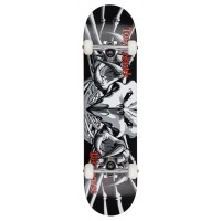 Skateboard Birdhouse Stage 1 Falcon III 7.75'' - Complete 2022