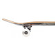 Skateboard Birdhouse Stage 1 Falcon III 7.75'' - Complete 2022