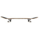 Skateboard Birdhouse Stage 1 Falcon III 7.75'' - Complete 2022