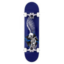 Skateboard Birdhouse Stage 1 Full Skull 2 7.5'' - Complete 2022
