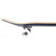 Skateboard Birdhouse Stage 1 Full Skull 2 7.5'' - Complete 2022