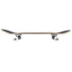Skateboard Birdhouse Stage 1 Full Skull 2 7.5'' - Complete 2022