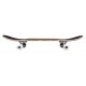 Skateboard Completes Birdhouse Stage 1 Oversized Skull Mini 7.25'' 2022  -