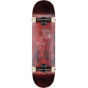 Skateboard Globe G2  Dot Gain 8.125'' - Rose - Complete 2023