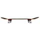 Skateboard Completes Tony Hawk Bird Logo Red 8" SS 180 2023