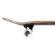 Skateboard Birdhouse Stage 3 Hawk Pterodactyl Black  7.5''- Complete 2022