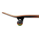 Skateboard Birdhouse Stage 3 Sunset Rasta  7.75'' - Complete 2022