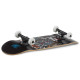 Skateboard Complètes Enuff Nihon 7.75" 2023
