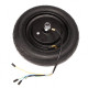 Pablo 10 Inch 350W Drive Wheel 2020 - Moteur