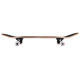 Skateboard Completes Birdhouse Stage 3 B Logo 7.75'' 2022  -