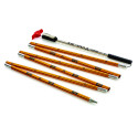 Arva Sonde Guide 260cm Cable 2022