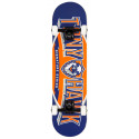 Skateboard Complètes Tony Hawk 8" SS 540 Team 2020 