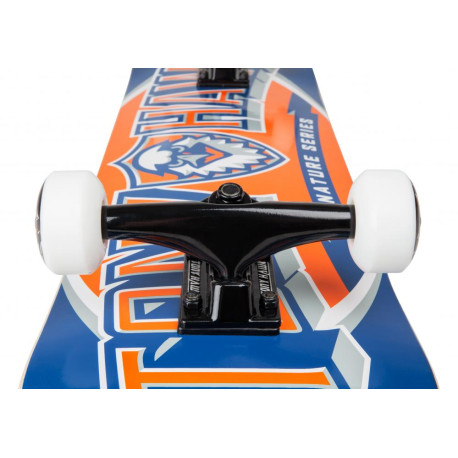 Tony Hawk Skateboard 8" SS 540 Team Complete 2020