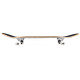 Skateboard Birdhouse Stage 1 Vertigo Logo Black/White 7.75'' - Complete 2022