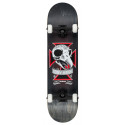 Skateboard Birdhouse Stage 3 Skull 2 8.125'' - Complete 2021