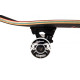 Skateboard Birdhouse Stage 3 Skull 2 8.125'' - Complete 2021