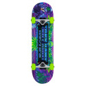 Skateboard Complètes Tony Hawk Cyber Mini 7.38" SS 360 2023
