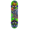 Skateboard Complètes Tony Hawk Toxic 7.5" SS 360 2023