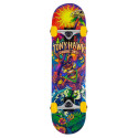 Skateboard Completes Tony Hawk Utopia Mini 7.25" SS 360 2023