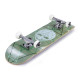 Skateboard Complètes Enuff Geo Skull 8.00" 2023