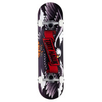 Skateboard Complètes Tony Hawk Wingspan 8" SS 180 2023