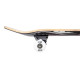 Skateboard Complètes Tony Hawk Wingspan 8" SS 180 2023