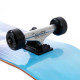 Skateboard Complètes Acta Wordart 7.5'' 2023 