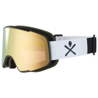 Head Goggle Horizon 2.0 5K Gold/WCR 2023 - Skibrille